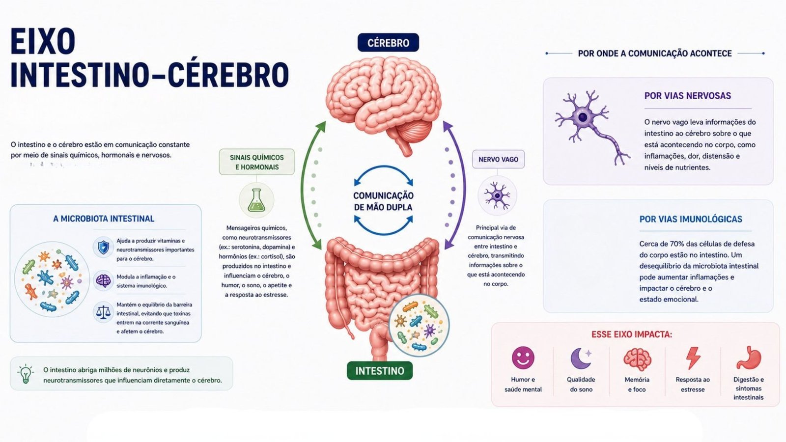 Intestino e saúde emocional entenda a conexão entre corpo e mente
